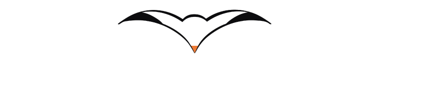 LOGOBEYAZ